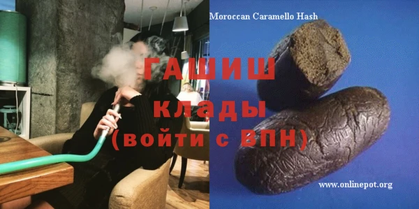 стаф Гусев