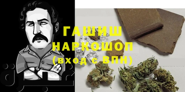 стаф Гусев