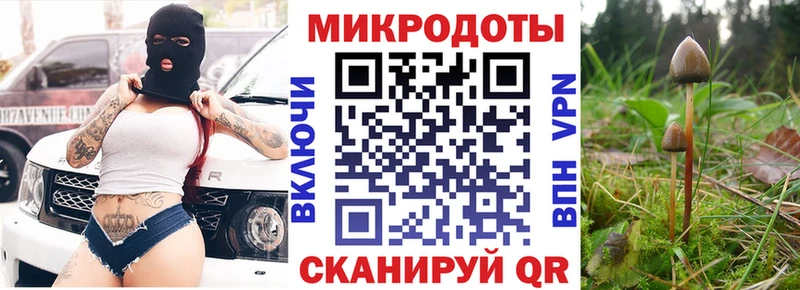 Галлюциногенные грибы прущие грибы  наркота  Данков 